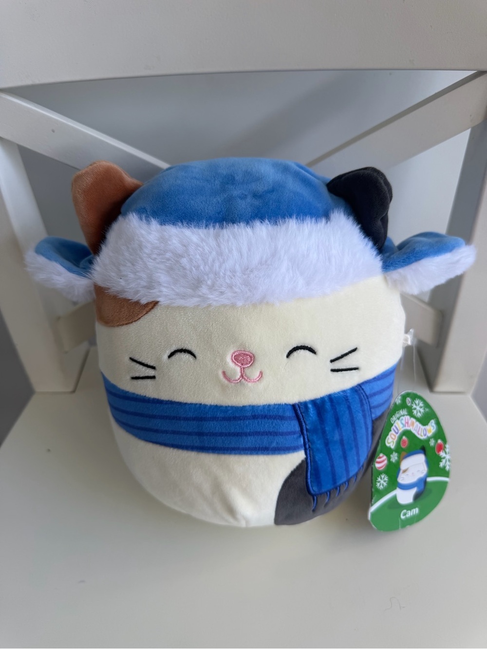 Squishmallows Cam the Cat 8” Plush NWT 🐱💙